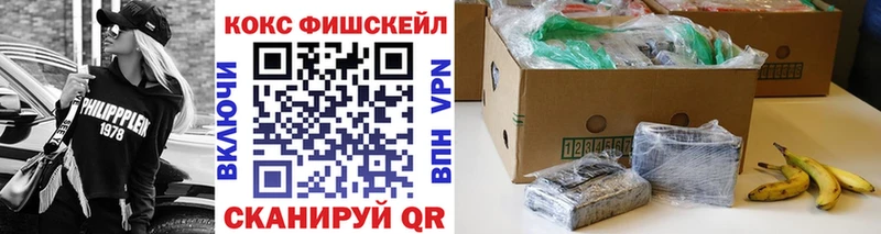 Cocaine Эквадор  Купить закладки  Бердск 