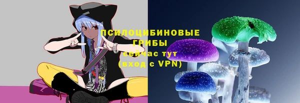 ECSTASY Бронницы