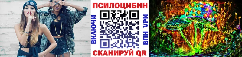 Купить закладки Бердск Псилоцибиновые грибы Psilocybine cubensis